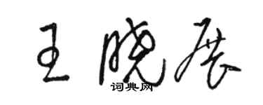 骆恒光王晓展草书个性签名怎么写