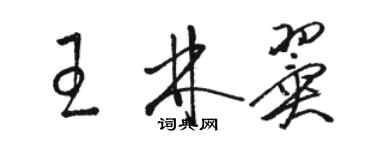 骆恒光王林翼草书个性签名怎么写