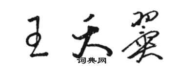骆恒光王夭翼草书个性签名怎么写