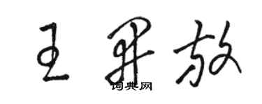 骆恒光王开放草书个性签名怎么写