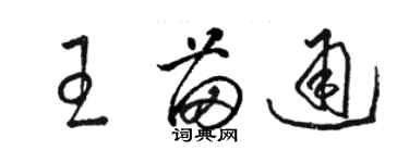 骆恒光王苗通草书个性签名怎么写
