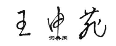 骆恒光王申菲草书个性签名怎么写
