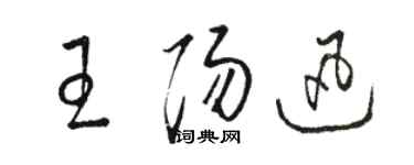 骆恒光王阳迅草书个性签名怎么写