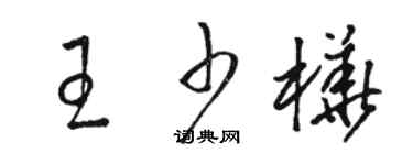 骆恒光王少桦草书个性签名怎么写
