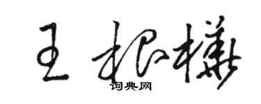 骆恒光王根桦草书个性签名怎么写