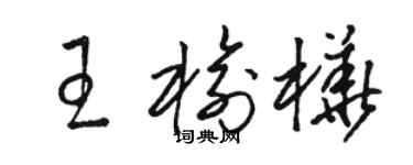 骆恒光王榆桦草书个性签名怎么写