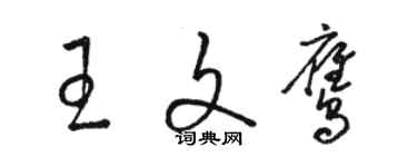 骆恒光王文鹰草书个性签名怎么写