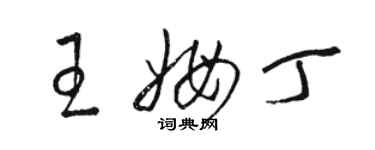 骆恒光王姆丁草书个性签名怎么写