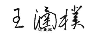 骆恒光王涵朴草书个性签名怎么写
