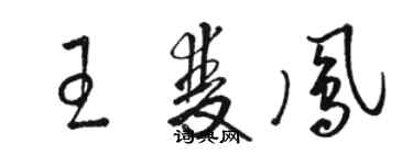 骆恒光王双凤草书个性签名怎么写