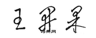 骆恒光王开果草书个性签名怎么写