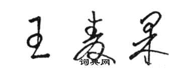 骆恒光王麦果草书个性签名怎么写