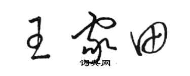 骆恒光王家田草书个性签名怎么写