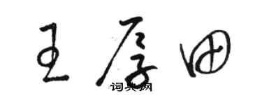 骆恒光王厚田草书个性签名怎么写
