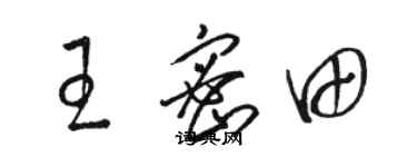 骆恒光王密田草书个性签名怎么写