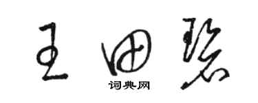 骆恒光王田碧草书个性签名怎么写