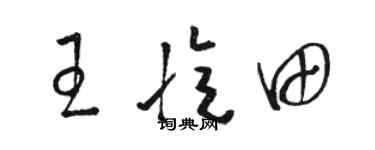 骆恒光王忆田草书个性签名怎么写