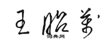 骆恒光王昭万草书个性签名怎么写