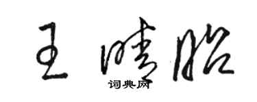 骆恒光王晴昭草书个性签名怎么写