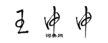 骆恒光王申申草书个性签名怎么写