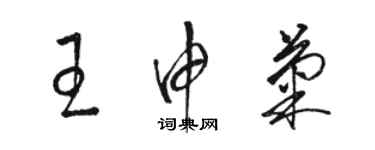 骆恒光王申菊草书个性签名怎么写