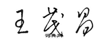骆恒光王茂昌草书个性签名怎么写