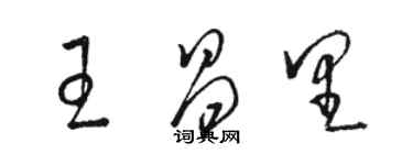 骆恒光王昌里草书个性签名怎么写