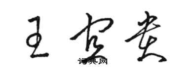 骆恒光王宜贵草书个性签名怎么写