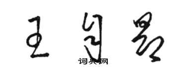 骆恒光王自昂草书个性签名怎么写