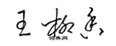 骆恒光王柳香草书个性签名怎么写