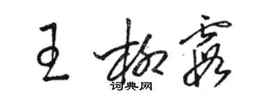 骆恒光王柳霞草书个性签名怎么写