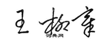 骆恒光王柳章草书个性签名怎么写