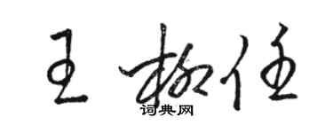 骆恒光王柳任草书个性签名怎么写