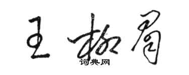 骆恒光王柳眉草书个性签名怎么写