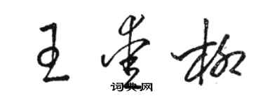 骆恒光王爱柳草书个性签名怎么写
