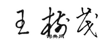 骆恒光王树茂草书个性签名怎么写
