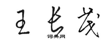 骆恒光王长茂草书个性签名怎么写