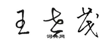 骆恒光王世茂草书个性签名怎么写