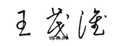 骆恒光王茂淮草书个性签名怎么写