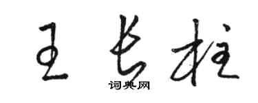 骆恒光王长柱草书个性签名怎么写