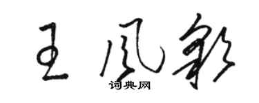 骆恒光王风彩草书个性签名怎么写