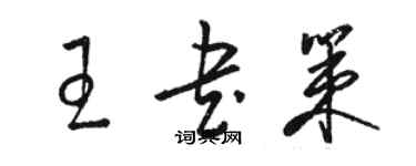 骆恒光王书策草书个性签名怎么写