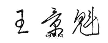 骆恒光王景魁草书个性签名怎么写