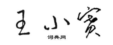 骆恒光王小赛草书个性签名怎么写