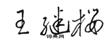 骆恒光王继樱草书个性签名怎么写