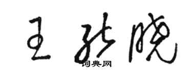 骆恒光王能晓草书个性签名怎么写