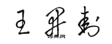 骆恒光王开封草书个性签名怎么写