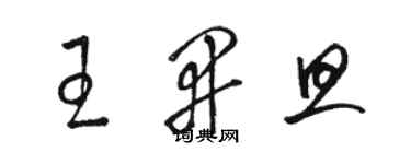 骆恒光王开旦草书个性签名怎么写