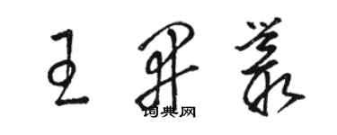 骆恒光王开丛草书个性签名怎么写