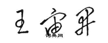 骆恒光王宙开草书个性签名怎么写
